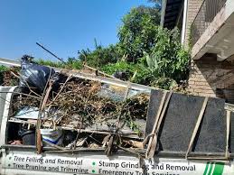 Same-Day Junk Removal Services in Lake Sarasota, FL